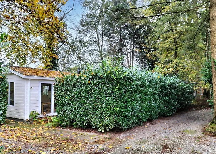 Stunning In With Wifi Vakantiehuis